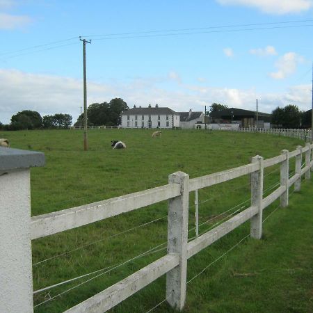 Donaghmore  Castlehavenヴィラ エクステリア 写真