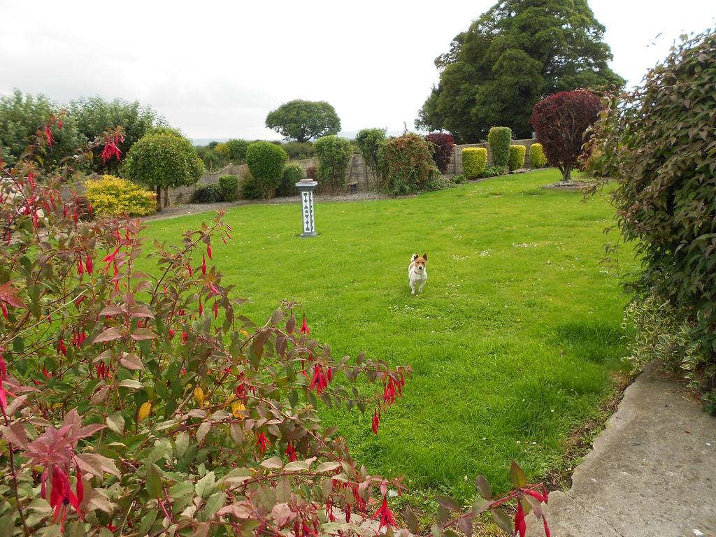 Donaghmore  Castlehavenヴィラ エクステリア 写真